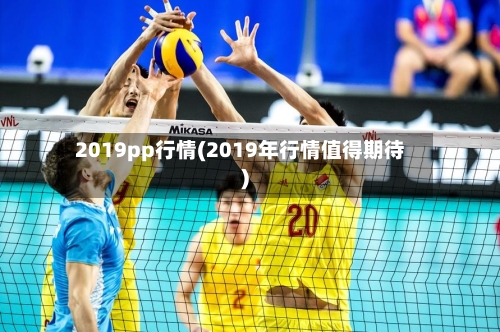 2019pp行情(2019年行情值得期待)-第2张图片