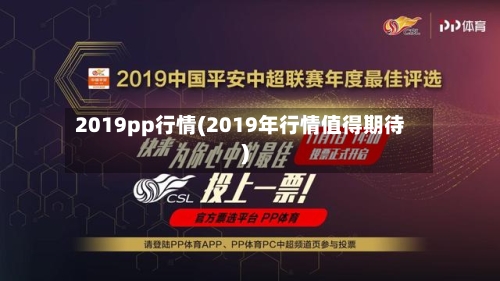 2019pp行情(2019年行情值得期待)-第3张图片