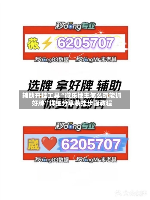 辅助开挂工具“微乐地主怎么玩能抓好牌”详细分享装挂步骤教程