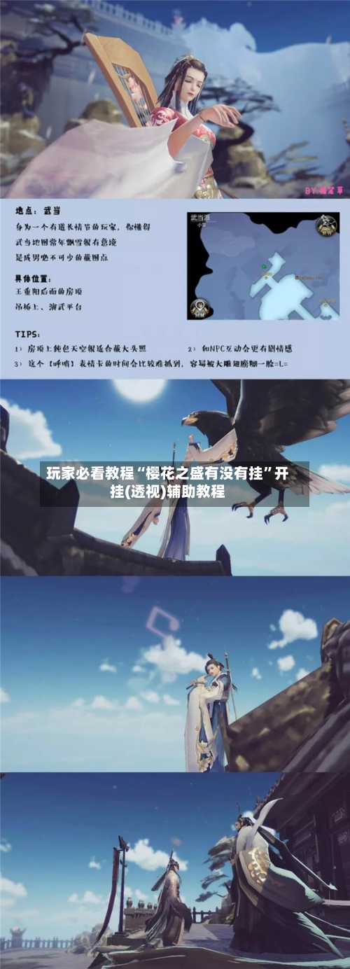 玩家必看教程“樱花之盛有没有挂”开挂(透视)辅助教程-第2张图片