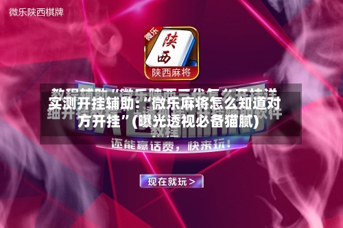 实测开挂辅助:“微乐麻将怎么知道对方开挂”(曝光透视必备猫腻)
