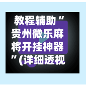 教程辅助“贵州微乐麻将开挂神器”(详细透视教程)-第3张图片