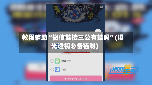 教程辅助“微信链接三公有挂吗”(曝光透视必备猫腻)