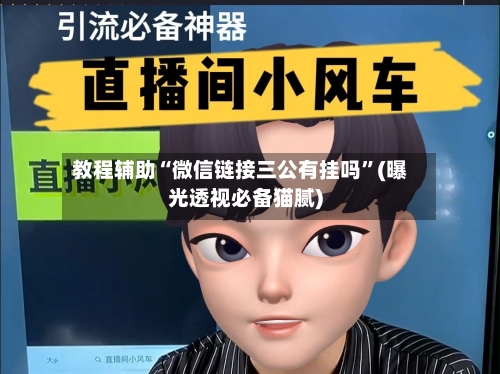 教程辅助“微信链接三公有挂吗	”(曝光透视必备猫腻)-第2张图片