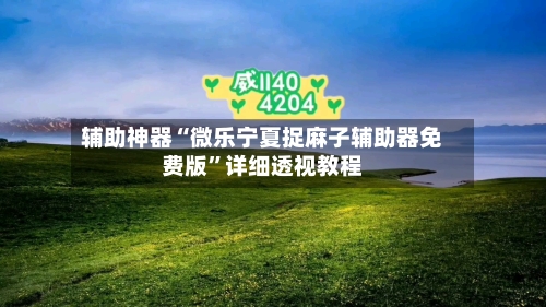 辅助神器“微乐宁夏捉麻子辅助器免费版”详细透视教程-第2张图片