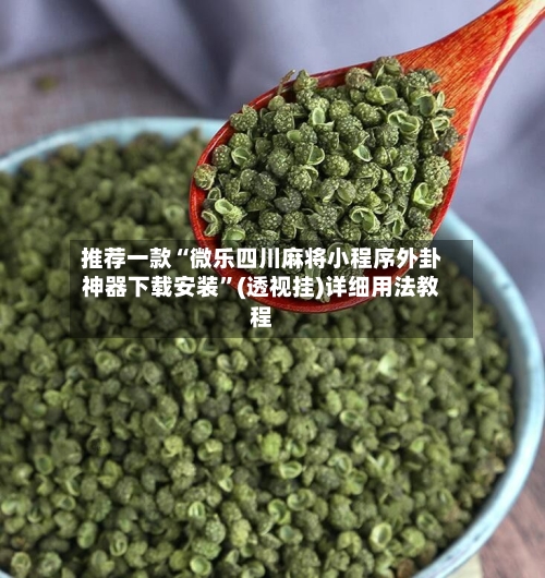 推荐一款“微乐四川麻将小程序外卦神器下载安装	”(透视挂)详细用法教程-第2张图片