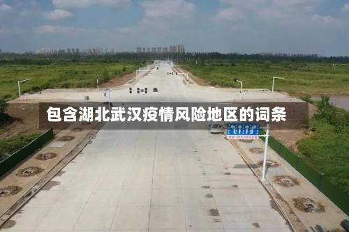 包含湖北武汉疫情风险地区的词条