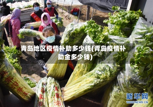 青岛地区疫情补助多少钱(青岛疫情补助金多少钱)