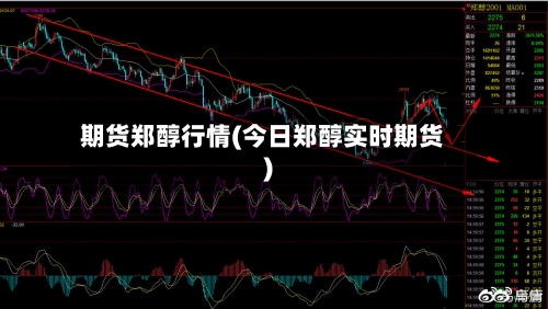 期货郑醇行情(今日郑醇实时期货)