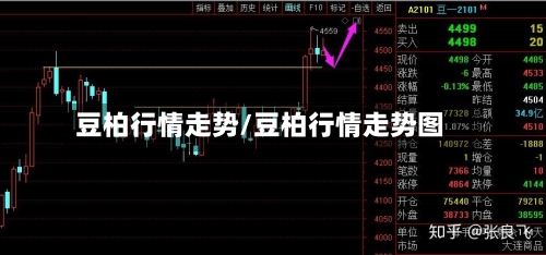 豆柏行情走势/豆柏行情走势图