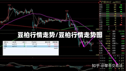 豆柏行情走势/豆柏行情走势图-第2张图片