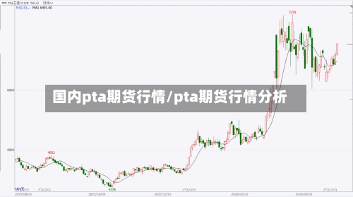 国内pta期货行情/pta期货行情分析-第2张图片