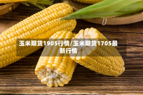 玉米期货1905行情/玉米期货1705最新行情