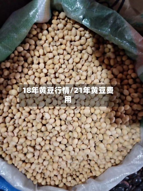 18年黄豆行情/21年黄豆费用