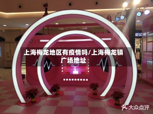 上海梅龙地区有疫情吗/上海梅龙镇广场地址-第2张图片