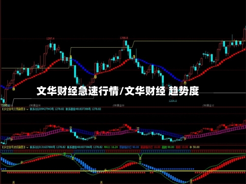 文华财经急速行情/文华财经 趋势度