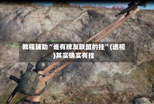 教程辅助“谁有牌友联盟的挂”(透视)其实确实有挂