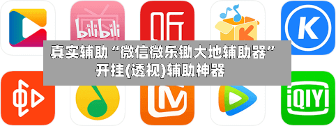 真实辅助“微信微乐锄大地辅助器”开挂(透视)辅助神器-第3张图片