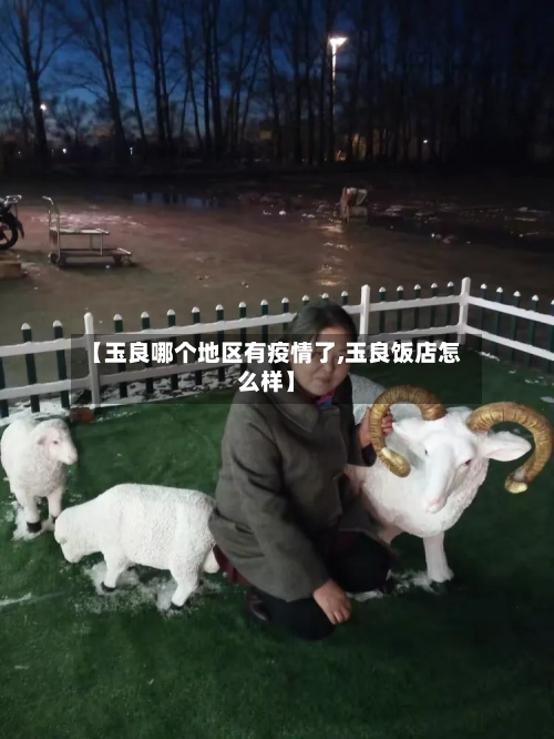 【玉良哪个地区有疫情了,玉良饭店怎么样】-第2张图片