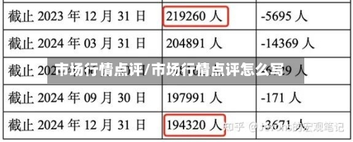 市场行情点评/市场行情点评怎么写