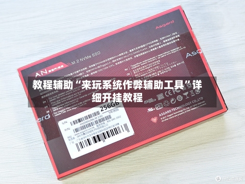 教程辅助“来玩系统作弊辅助工具”详细开挂教程