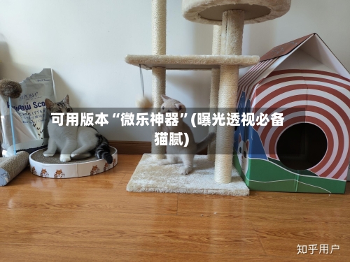 可用版本“微乐神器”(曝光透视必备猫腻)-第2张图片