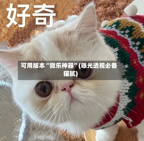 可用版本“微乐神器”(曝光透视必备猫腻)-第3张图片