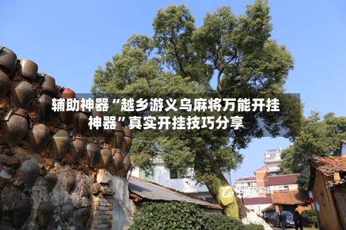 辅助神器“越乡游义乌麻将万能开挂神器”真实开挂技巧分享-第2张图片