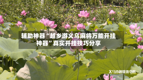 辅助神器“越乡游义乌麻将万能开挂神器”真实开挂技巧分享