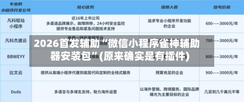 2026首发辅助“微信小程序雀神辅助器安装包”(原来确实是有插件)-第2张图片