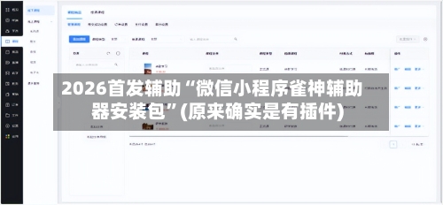 2026首发辅助“微信小程序雀神辅助器安装包”(原来确实是有插件)