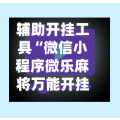 辅助开挂工具“微信小程序微乐麻将万能开挂器+透视挂”开挂辅助软件教程-第3张图片