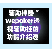 辅助神器“wepoker透视辅助挂的功能介绍透视作弊挂使用教程”开挂辅助脚本+详细开挂安装教程-第3张图片