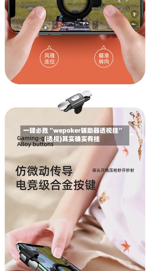 一键必胜“wepoker辅助器透视挂	”(透视)其实确实有挂-第2张图片