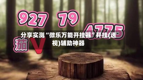分享实测“微乐万能开挂器	”开挂(透视)辅助神器-第3张图片