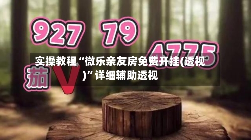 实操教程“微乐亲友房免费开挂(透视)	”详细辅助透视-第2张图片