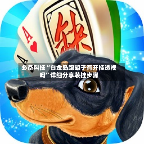 必备科技“白金岛跑胡子有开挂透视吗	”详细分享装挂步骤-第2张图片