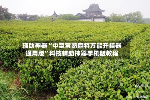 辅助神器“中至常熟麻将万能开挂器通用版”科技辅助神器手机版教程