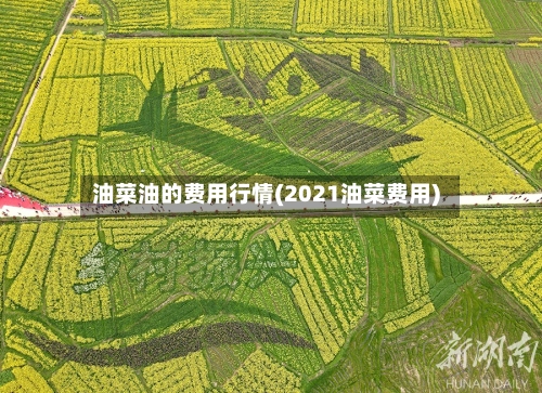 油菜油的费用行情(2021油菜费用)
