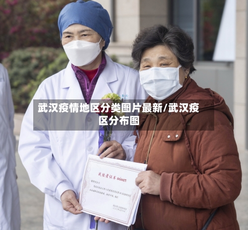 武汉疫情地区分类图片最新/武汉疫区分布图-第2张图片