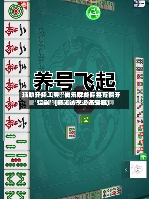 辅助开挂工具“微乐家乡麻将万能开挂器”(曝光透视必备猫腻)-第3张图片