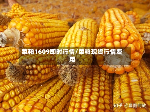 菜粕1609即时行情/菜粕现货行情费用-第2张图片