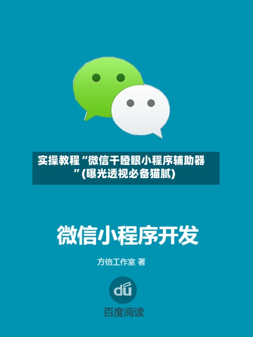 实操教程“微信干瞪眼小程序辅助器	”(曝光透视必备猫腻)-第3张图片
