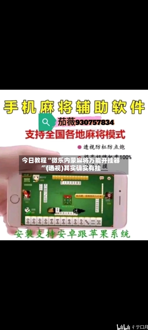 今日教程“微乐内蒙麻将万能开挂器”(透视)其实确实有挂-第3张图片