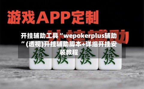 开挂辅助工具“wepokerplus辅助”(透视)开挂辅助脚本+详细开挂安装教程