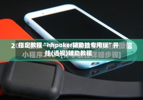 指定教程“hhpoker辅助挂专用版”开挂(透视)辅助教程-第2张图片
