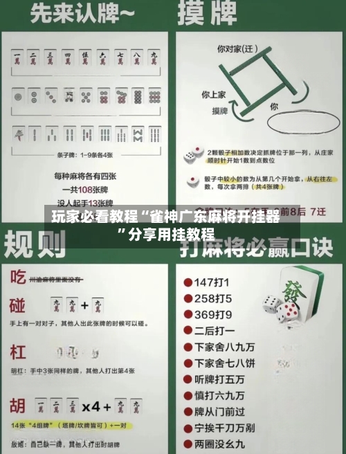 玩家必看教程“雀神广东麻将开挂器”分享用挂教程