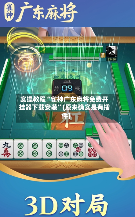 实操教程“雀神广东麻将免费开挂器下载安装”(原来确实是有插件)-第3张图片