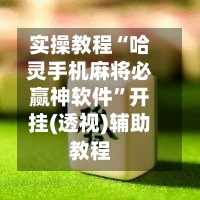实操教程“哈灵手机麻将必赢神软件”开挂(透视)辅助教程-第2张图片