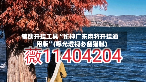 辅助开挂工具“雀神广东麻将开挂通用版	”(曝光透视必备猫腻)-第2张图片